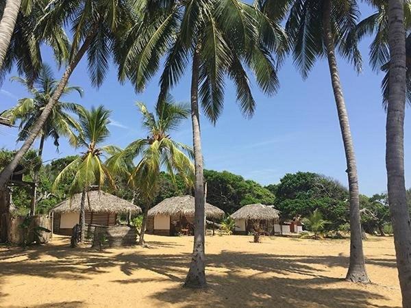 Upali Beach Surf Resort & Cafe Arugam Bay Bagian luar foto